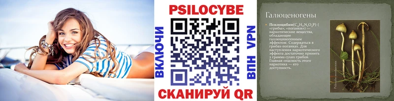 OMG как зайти  Луза  Псилоцибиновые грибы мицелий 
